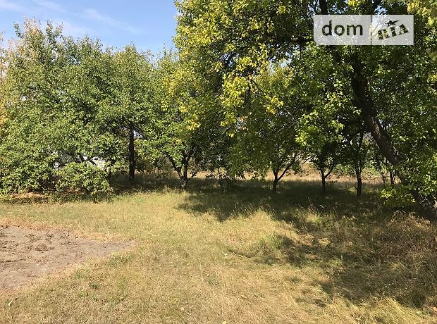 Земля под жилую застройку в селе Обуховка, площадь 40 соток фото 1 Земля под жилую застройку в селе Обуховка, площадь 40 соток фото 1