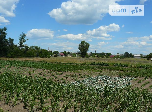 Продажа участка под жилую застройку, Днепропетровск, c. Партизанское Продажа участка под жилую застройку, Днепропетровск, c. Партизанское