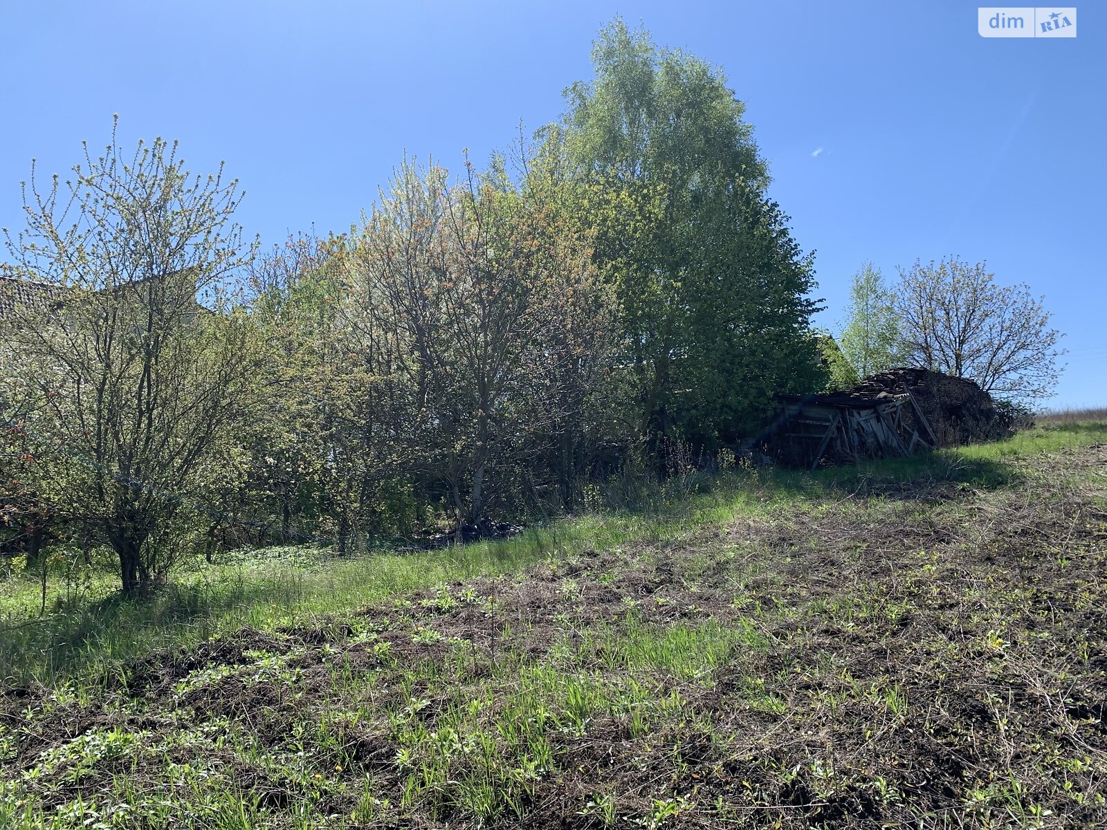 Земельна ділянка під житлову забудову в Драганівці, площа 25 соток фото 1