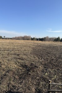 Земельный участок под жилую застройку в Дружне, площадь 20 соток фото 2