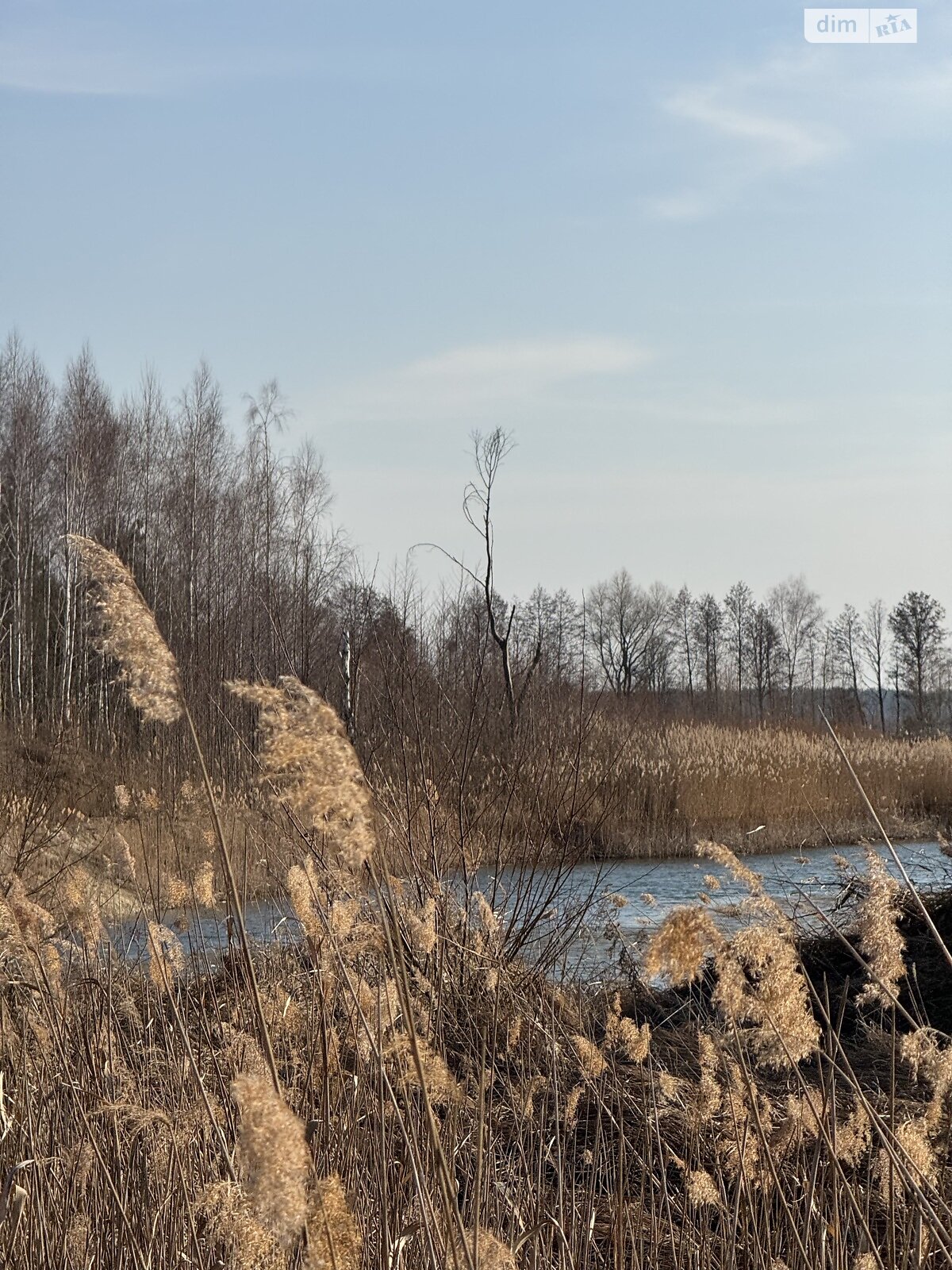Земельна ділянка під житлову забудову в Дружні, площа 20 соток фото 1 Земельна ділянка під житлову забудову в Дружні, площа 20 соток фото 1