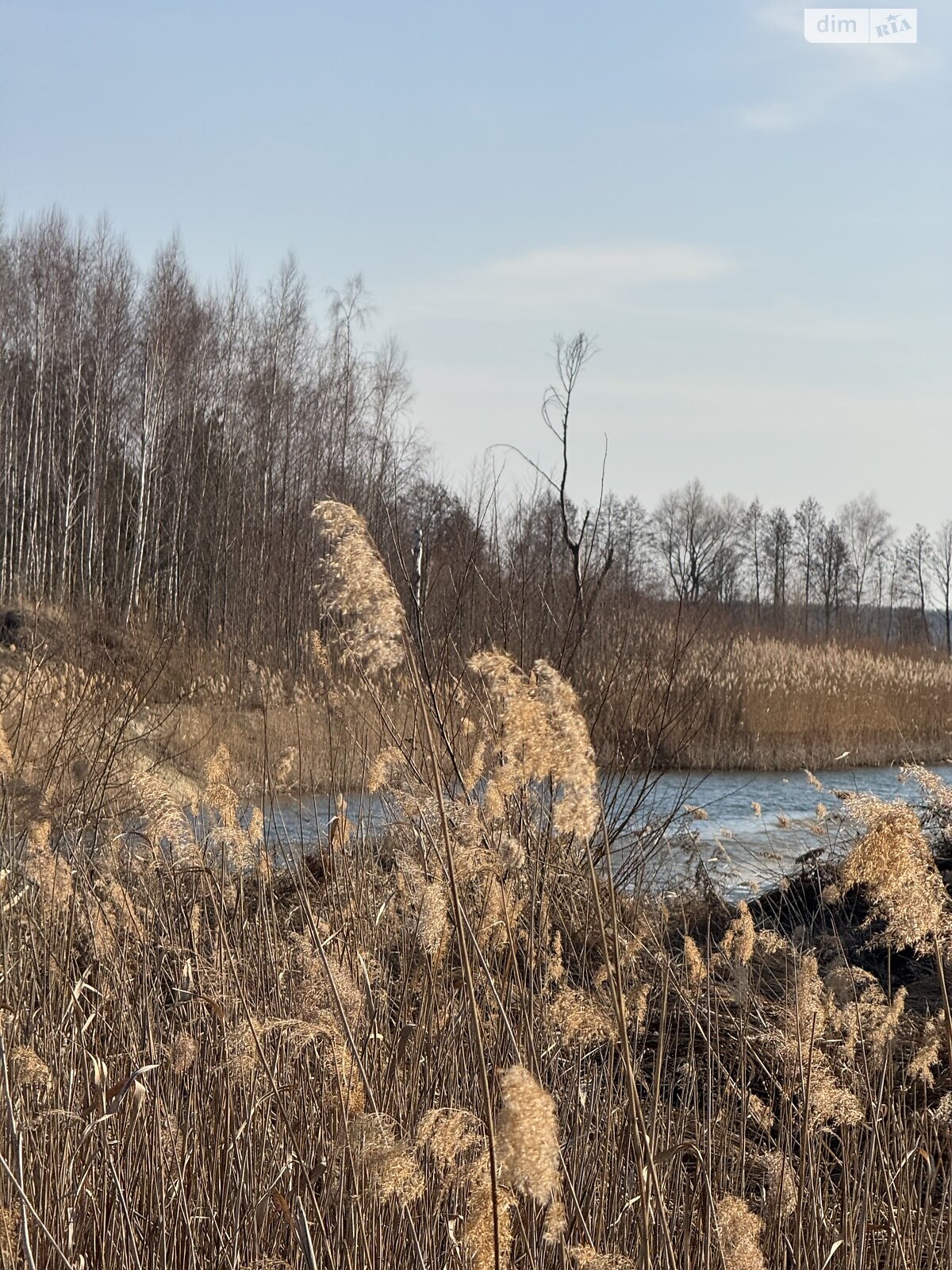 Земельна ділянка під житлову забудову в Дружні, площа 20 соток фото 1 Земельна ділянка під житлову забудову в Дружні, площа 20 соток фото 1