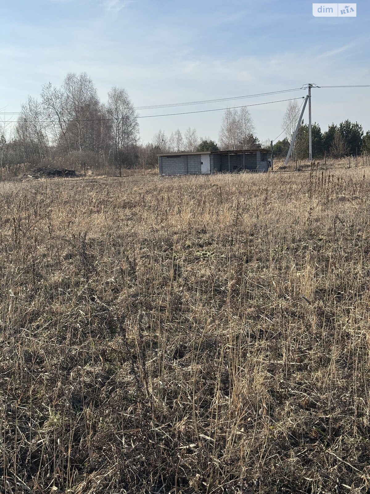 Земельна ділянка під житлову забудову в Дружні, площа 20 соток фото 1 Земельна ділянка під житлову забудову в Дружні, площа 20 соток фото 1