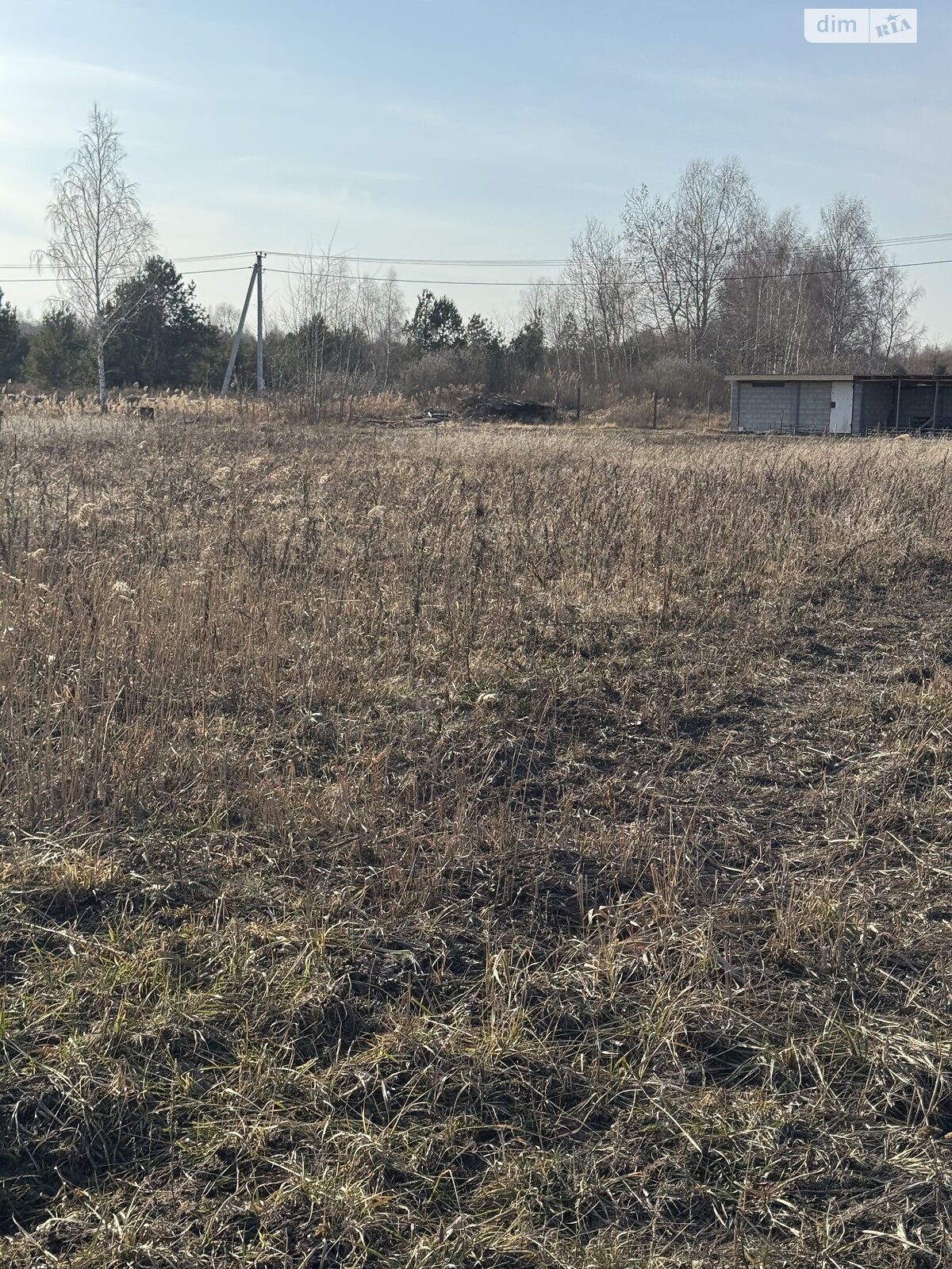 Земельна ділянка під житлову забудову в Дружні, площа 20 соток фото 1 Земельна ділянка під житлову забудову в Дружні, площа 20 соток фото 1