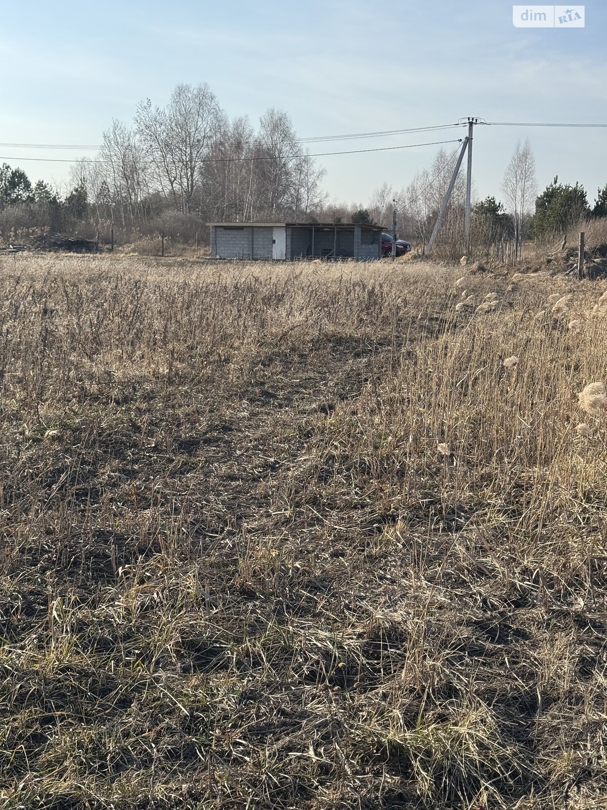 Земельна ділянка під житлову забудову в Дружні, площа 20 соток фото 1 Земельна ділянка під житлову забудову в Дружні, площа 20 соток фото 1