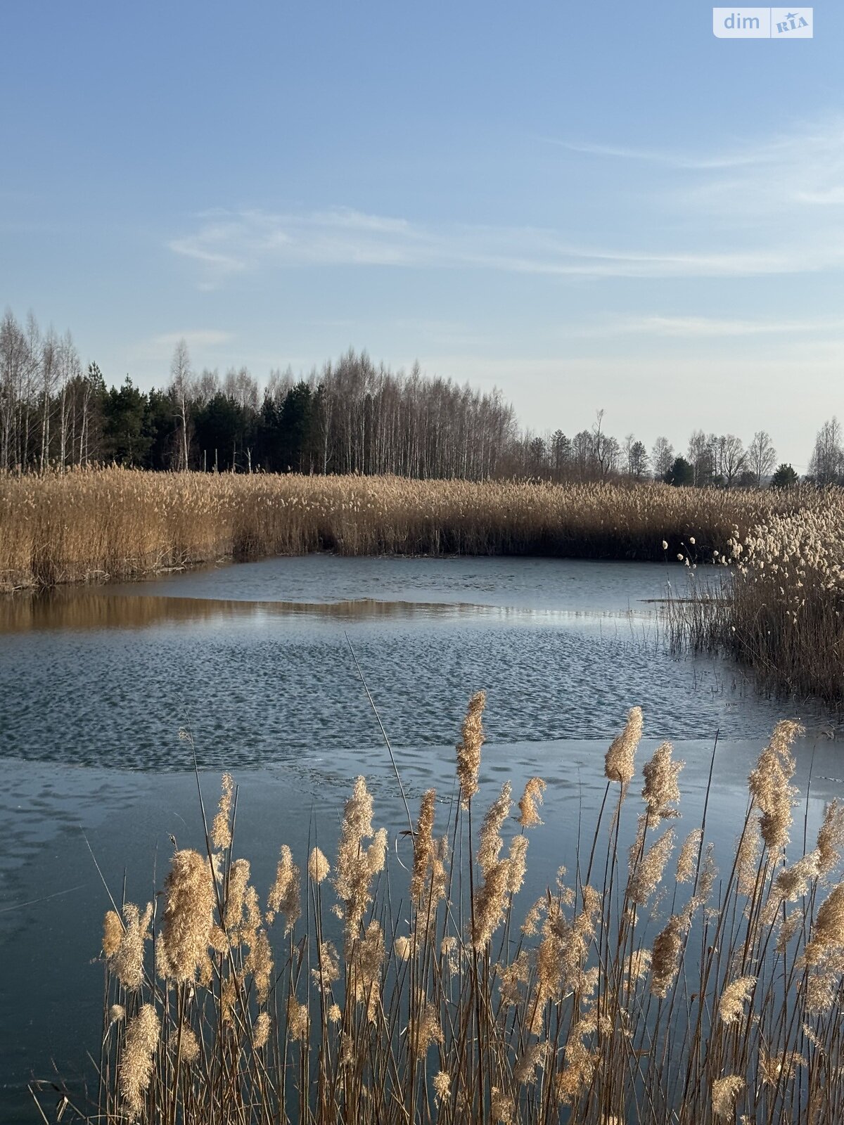 Земельна ділянка під житлову забудову в Дружні, площа 20 соток фото 1 Земельна ділянка під житлову забудову в Дружні, площа 20 соток фото 1