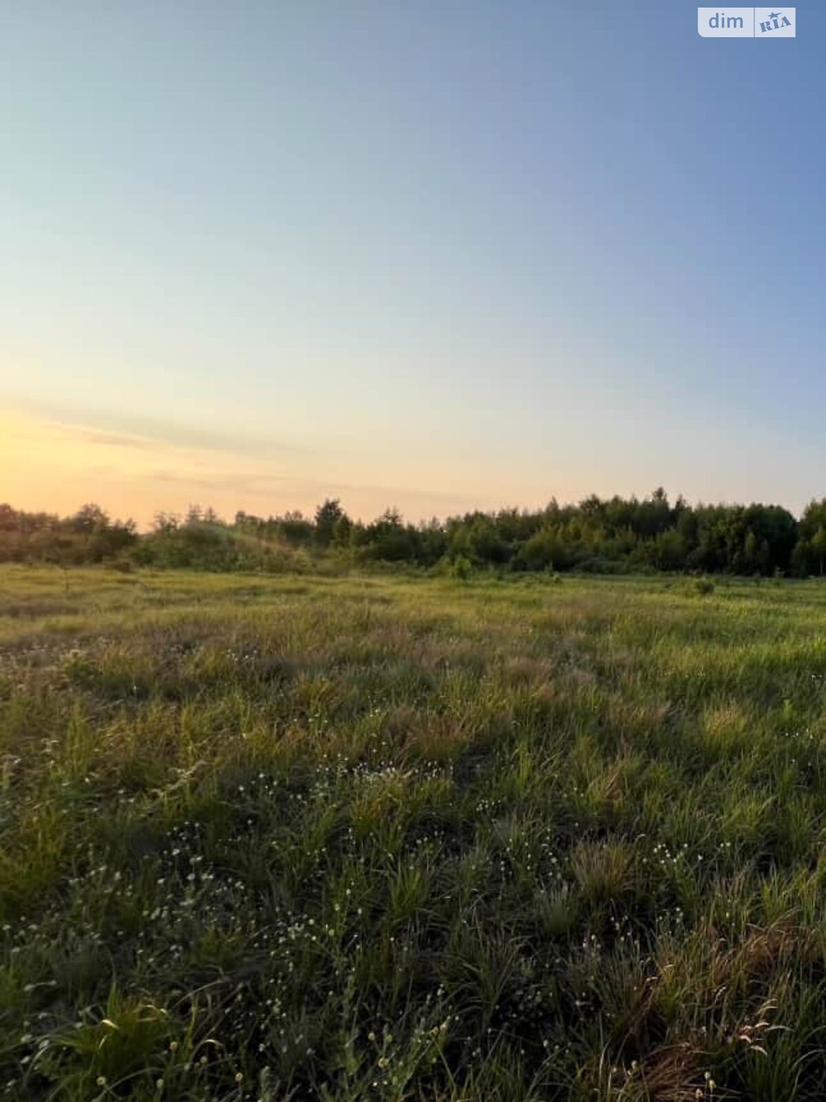 Земельна ділянка під житлову забудову в Дружні, площа 14.89 сотки фото 1 Земельна ділянка під житлову забудову в Дружні, площа 14.89 сотки фото 1