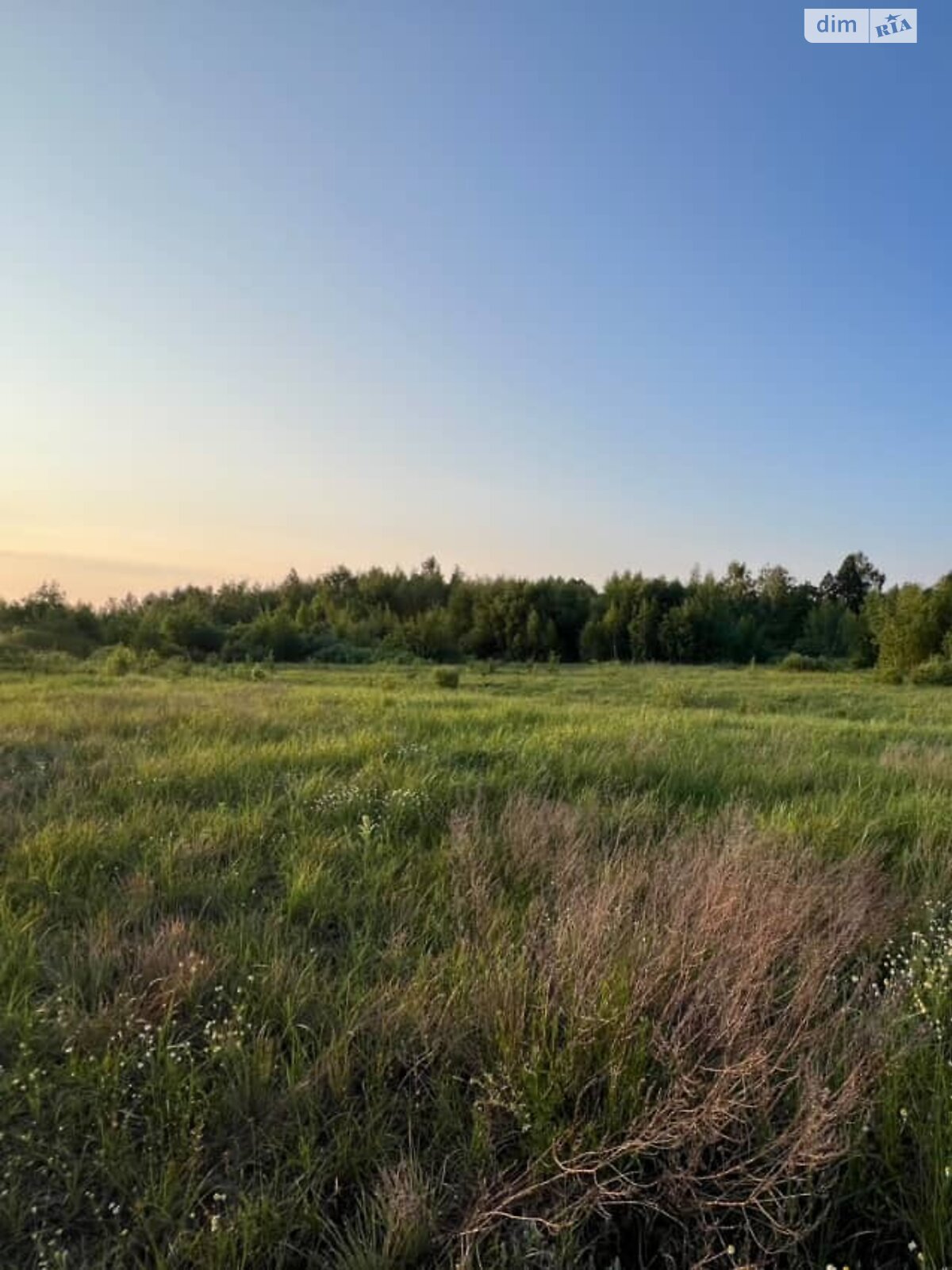 Земельна ділянка під житлову забудову в Дружні, площа 14.89 сотки фото 1 Земельна ділянка під житлову забудову в Дружні, площа 14.89 сотки фото 1