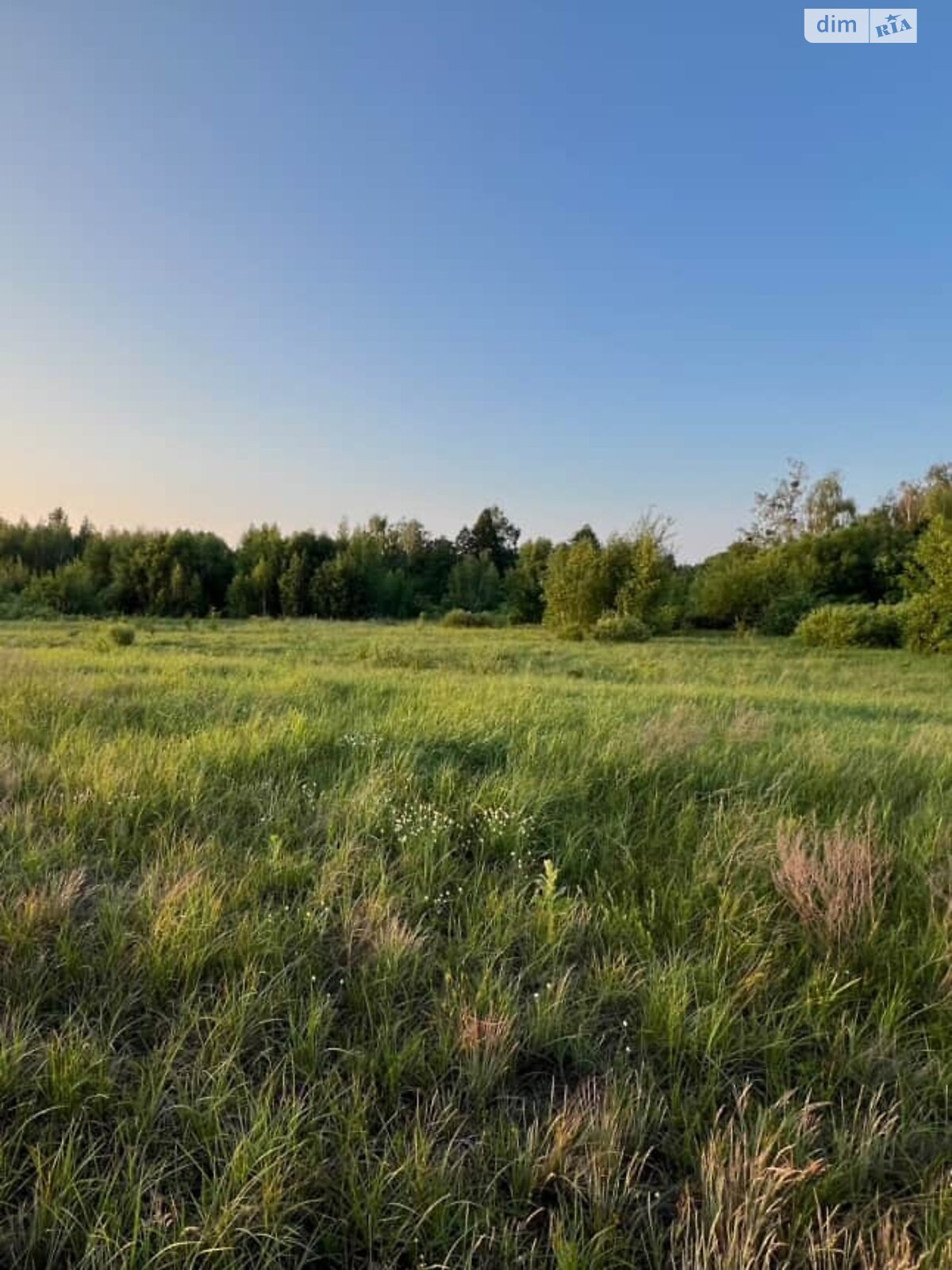 Земельна ділянка під житлову забудову в Дружні, площа 14.89 сотки фото 1 Земельна ділянка під житлову забудову в Дружні, площа 14.89 сотки фото 1