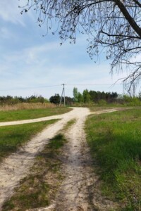 Земельна ділянка під житлову забудову в Дружні, площа 24.77 сотки фото 2