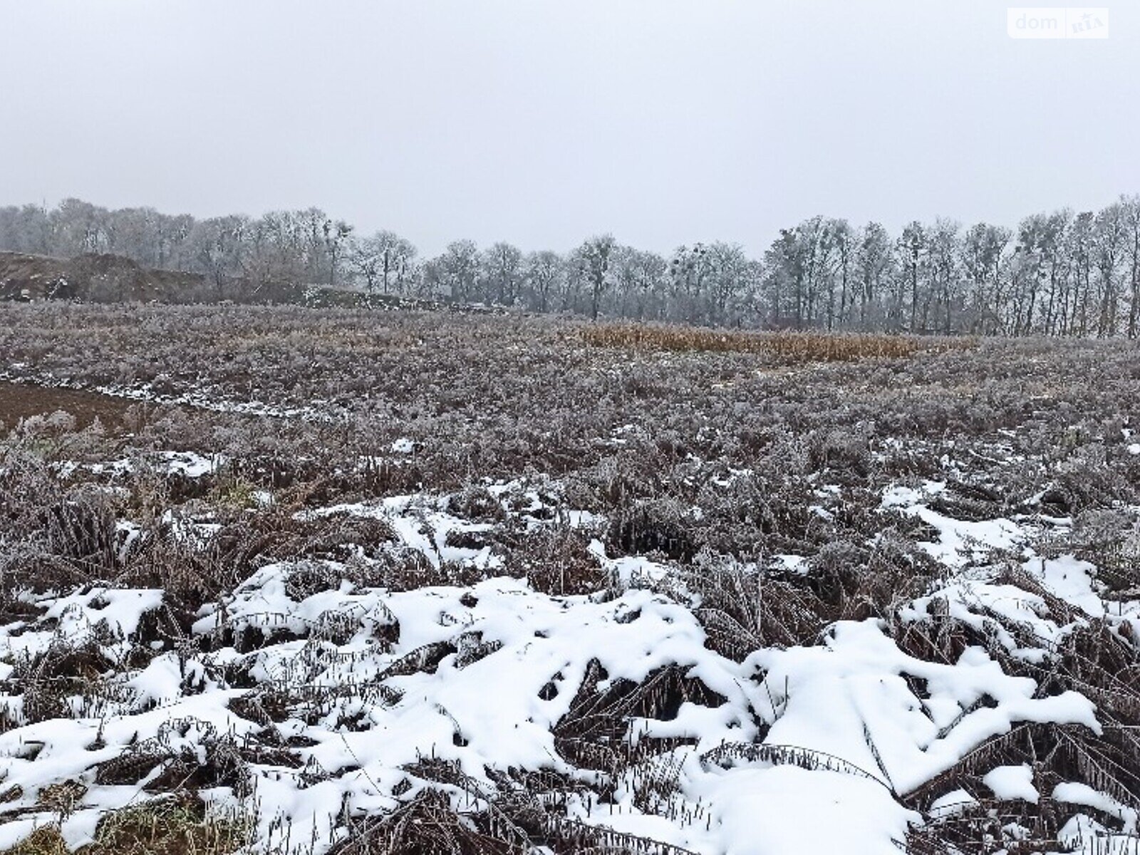 Земля під житлову забудову в Дублянах, район Дубляни, площа 6 соток фото 1