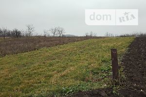 Земля под жилую застройку в Дунаевцах, район Дунаевцы, площадь 29 соток фото 2