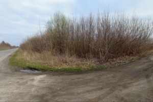 Земельна ділянка під житлову забудову в Дядьковичах, площа 2 Га фото 2