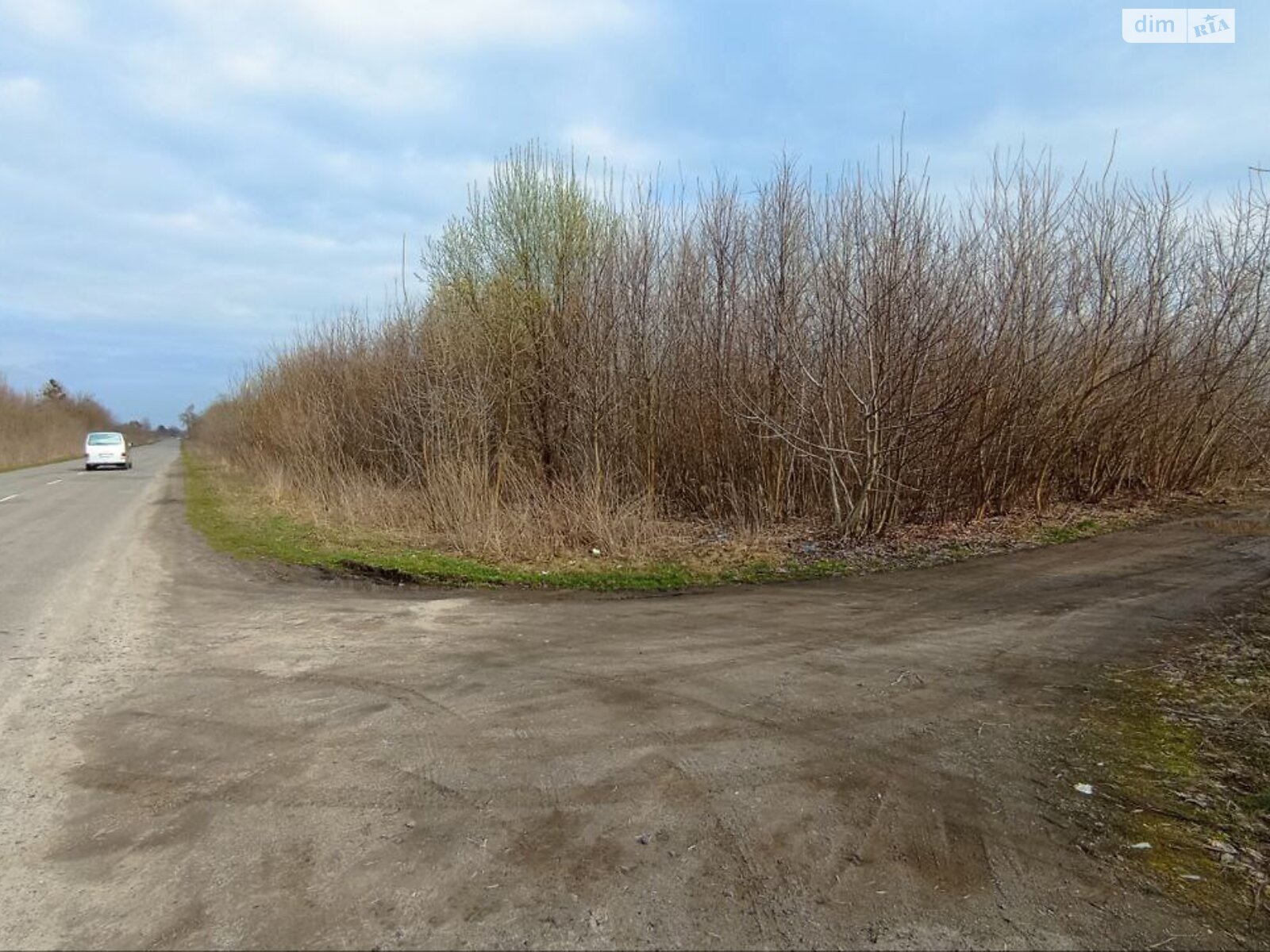 Земельна ділянка під житлову забудову в Дядьковичах, площа 2 Га фото 1