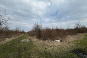 Земельна ділянка під житлову забудову в Дядьковичах, площа 2 Га фото 2