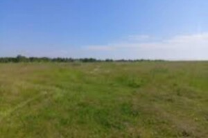 Земельный участок под жилую застройку в Егоровке, площадь 25 соток фото 2