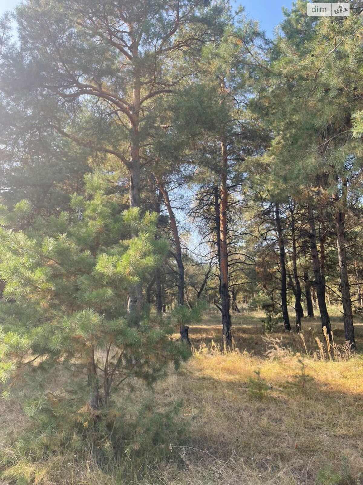 Земельна ділянка під житлову забудову в Єлизаветівці, площа 10 соток фото 1 Земельна ділянка під житлову забудову в Єлизаветівці, площа 10 соток фото 1