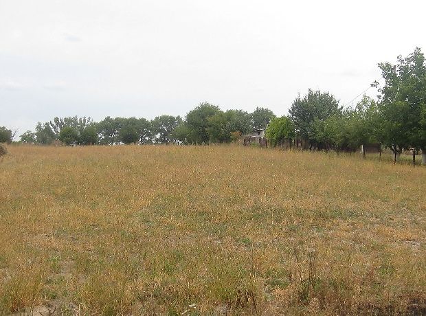 Продаж ділянки під житлову забудову, Київська, Фастів, c. Червона Мотовилівка Продаж ділянки під житлову забудову, Київська, Фастів, c. Червона Мотовилівка