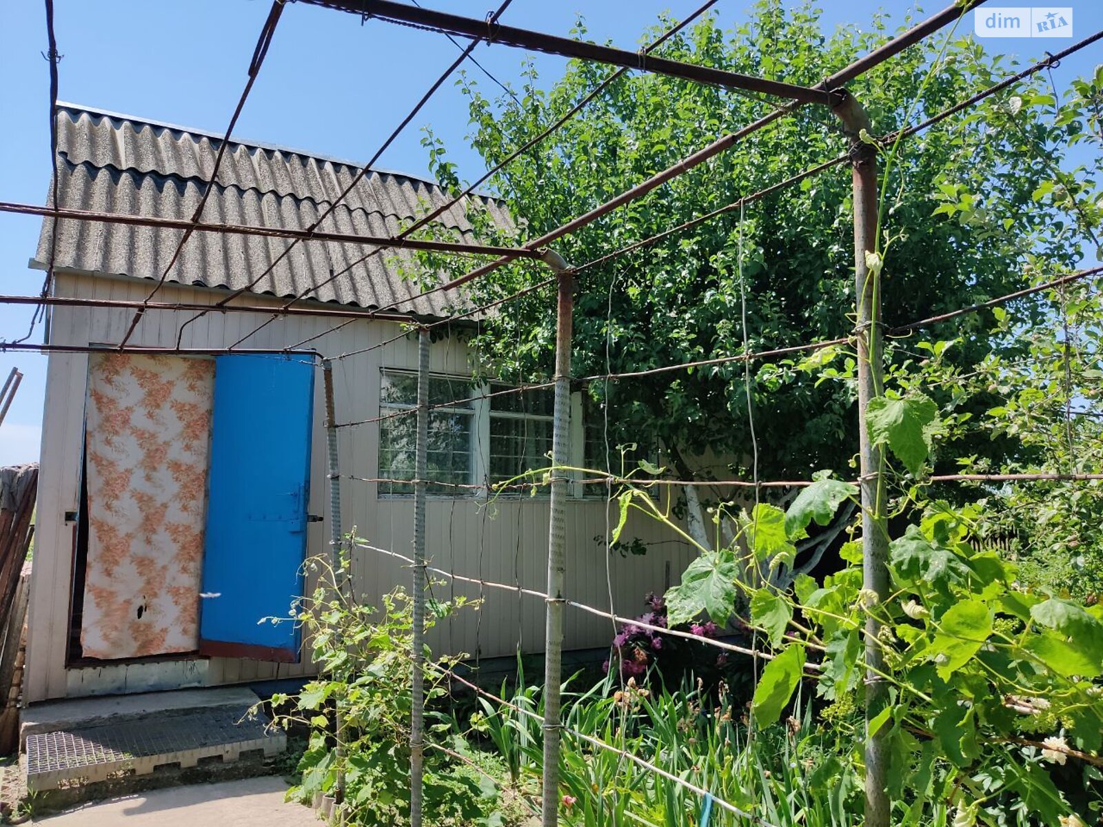 Земля під житлову забудову в Фастові, район Фастів, площа 12 соток фото 1