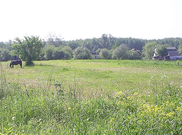 Продажа участка под жилую застройку, Киевская, Фастов Продажа участка под жилую застройку, Киевская, Фастов