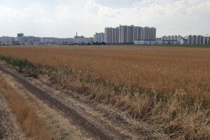 Земельный участок под жилую застройку в Фонтанке, площадь 211.71 сотки фото 2