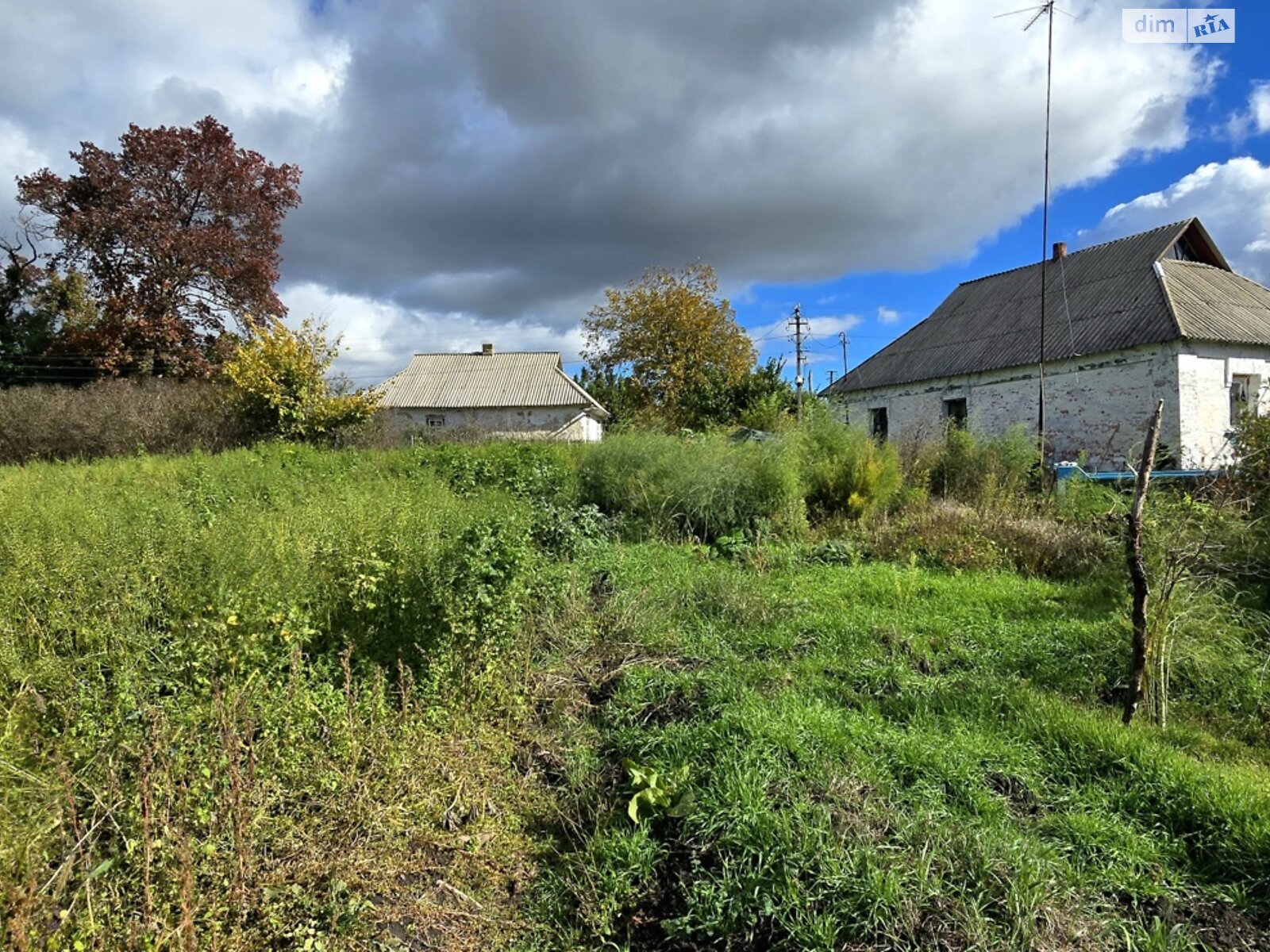 Земельный участок под жилую застройку в Фурсах, площадь 25 соток фото 1