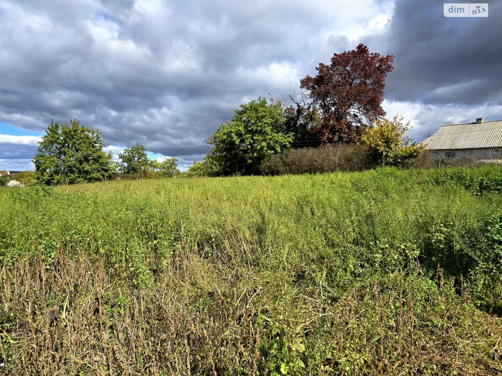 Земельный участок под жилую застройку в Фурсах, площадь 25 соток фото 1