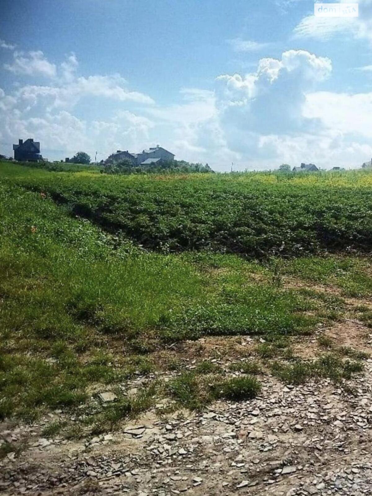 Земельна ділянка під житлову забудову в Гаях-Гречинських, площа 25 соток фото 1