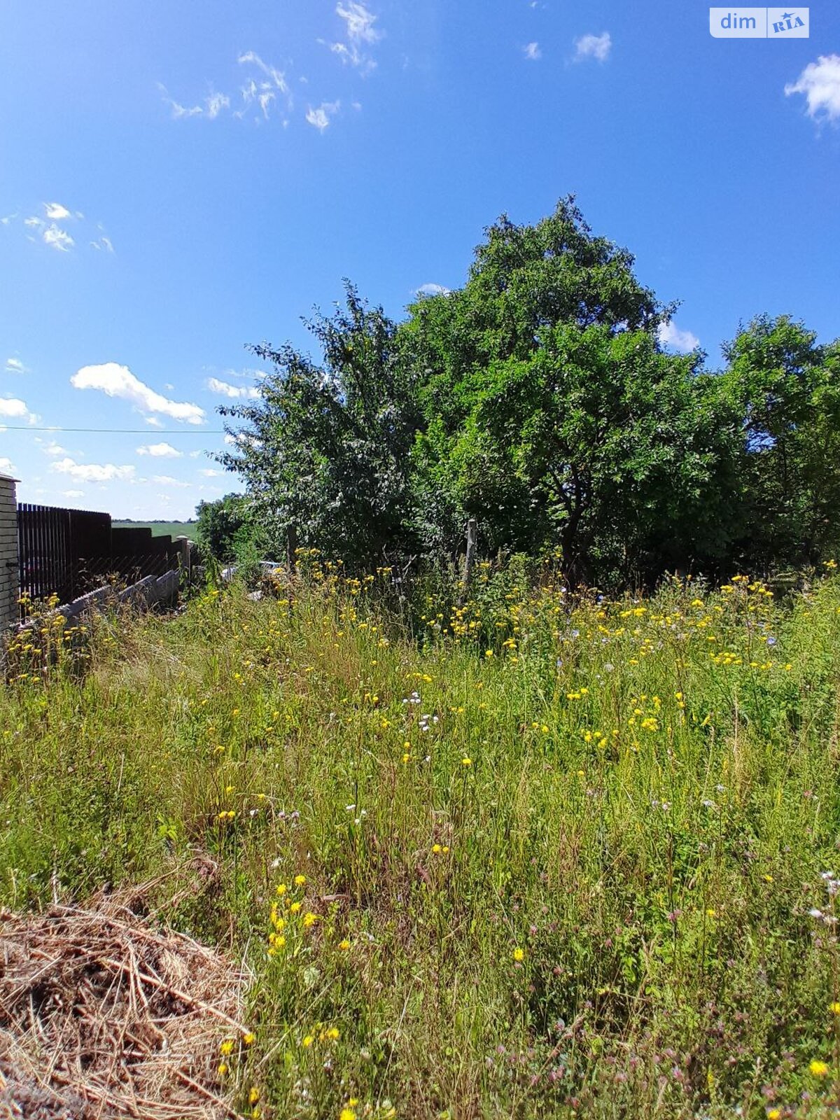 Земельный участок под жилую застройку в Байковцах, площадь 15 соток фото 1