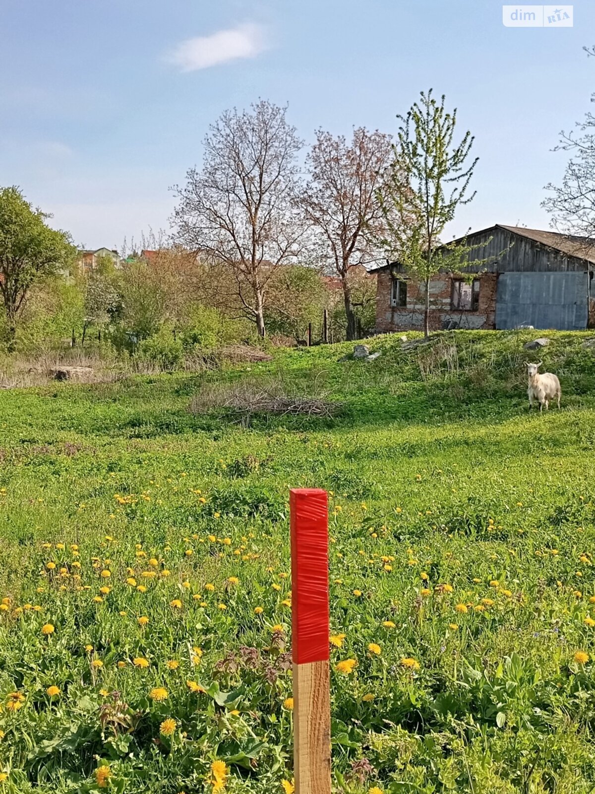 Земельна ділянка під житлову забудову в Гаях-Шевченківських, площа 7.5 сотки фото 1 Земельна ділянка під житлову забудову в Гаях-Шевченківських, площа 7.5 сотки фото 1