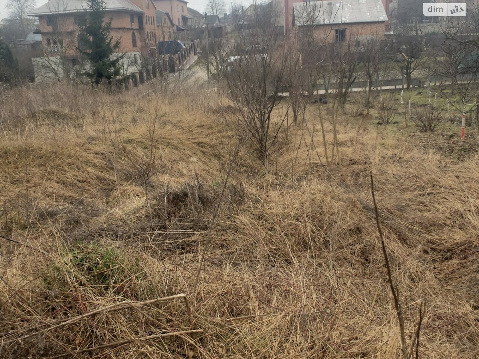 Земельный участок под жилую застройку в Гаях-Шевченковских, площадь 10 соток фото 1