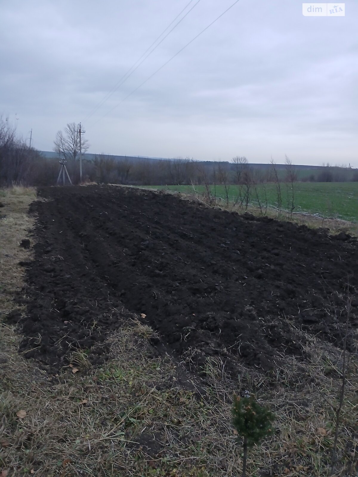 Земельна ділянка під житлову забудову в Гаях-Шевченківських, площа 10 соток фото 1 Земельна ділянка під житлову забудову в Гаях-Шевченківських, площа 10 соток фото 1