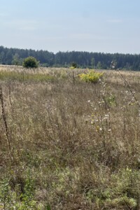 Земельна ділянка під житлову забудову в Гаврилівці, площа 23 сотки фото 2