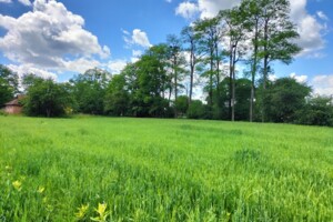 Земельна ділянка під житлову забудову в Гавришівці, площа 40 соток фото 2
