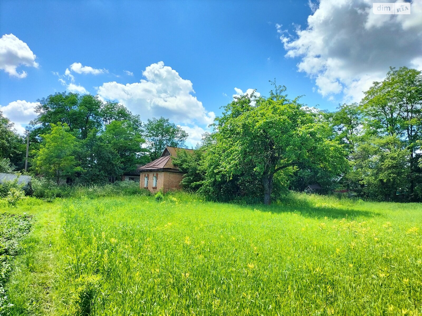 Земельна ділянка під житлову забудову в Гавришівці, площа 40 соток фото 1