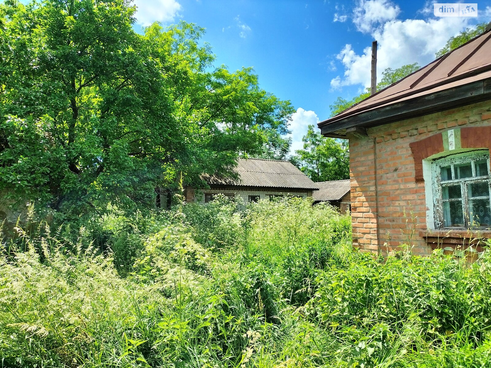 Земельна ділянка під житлову забудову в Гавришівці, площа 40 соток фото 1 Земельна ділянка під житлову забудову в Гавришівці, площа 40 соток фото 1
