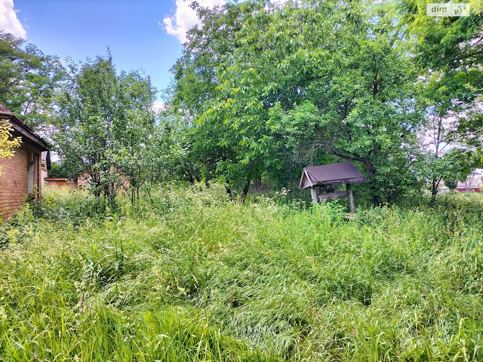 Земельна ділянка під житлову забудову в Гавришівці, площа 40 соток фото 1 Земельна ділянка під житлову забудову в Гавришівці, площа 40 соток фото 1