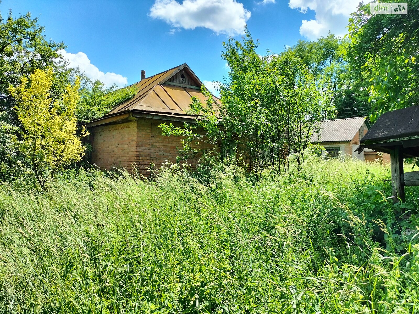 Земельна ділянка під житлову забудову в Гавришівці, площа 40 соток фото 1 Земельна ділянка під житлову забудову в Гавришівці, площа 40 соток фото 1