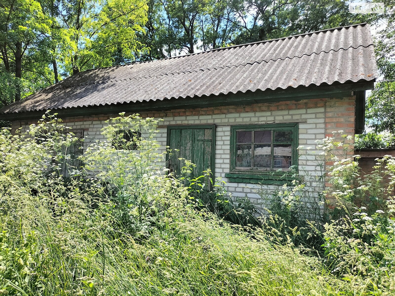 Земельна ділянка під житлову забудову в Гавришівці, площа 40 соток фото 1 Земельна ділянка під житлову забудову в Гавришівці, площа 40 соток фото 1