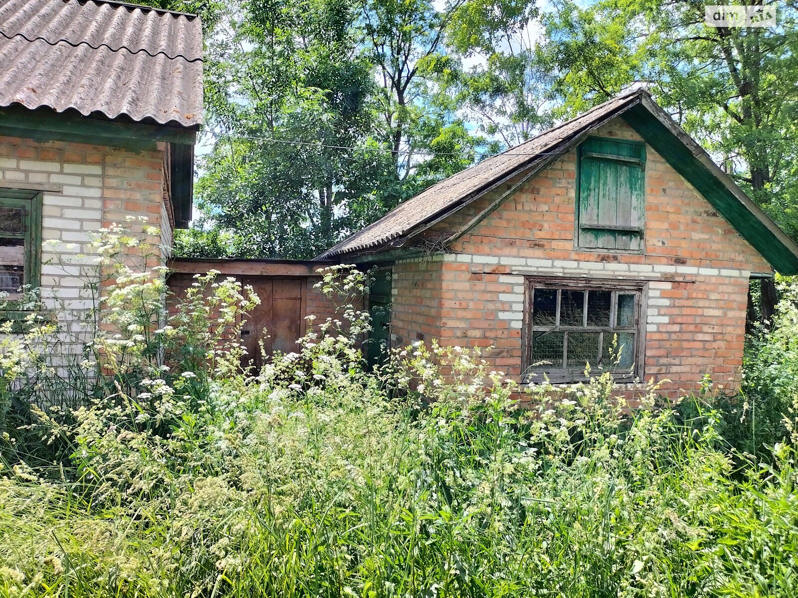Земельна ділянка під житлову забудову в Гавришівці, площа 40 соток фото 1 Земельна ділянка під житлову забудову в Гавришівці, площа 40 соток фото 1