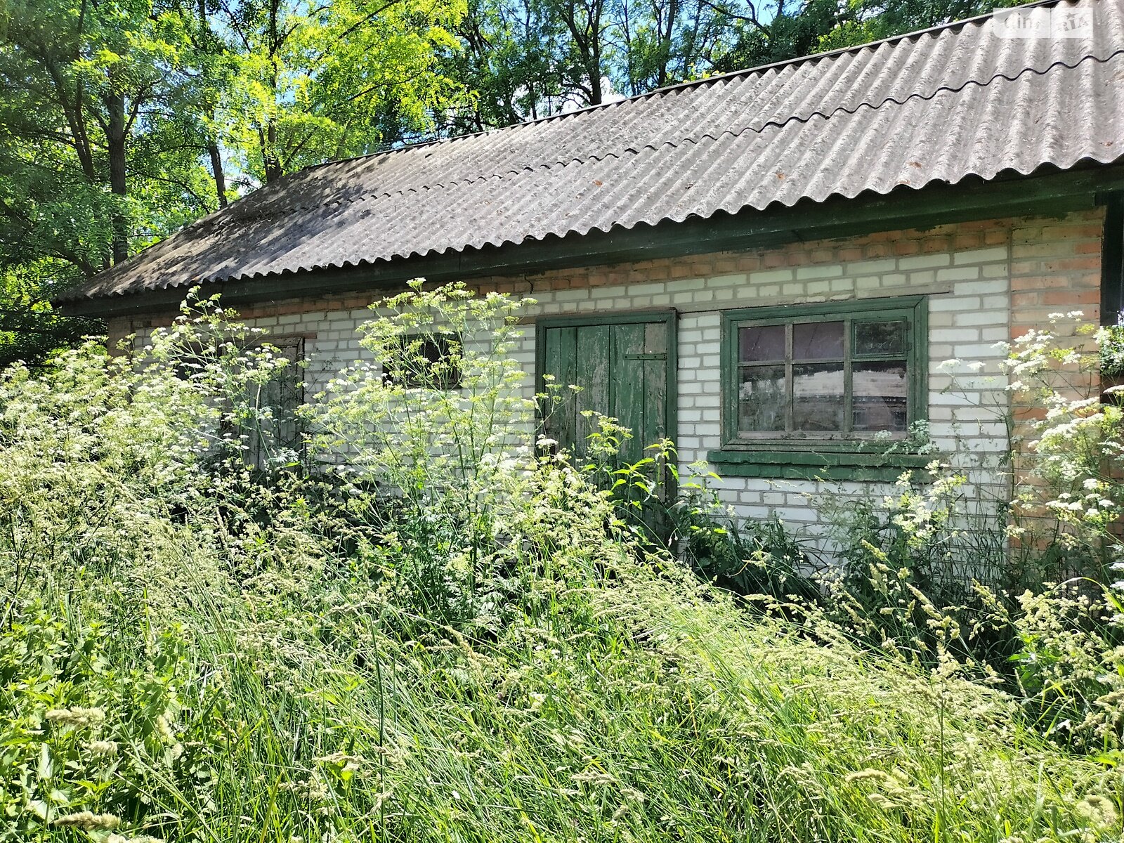 Земельна ділянка під житлову забудову в Гавришівці, площа 40 соток фото 1