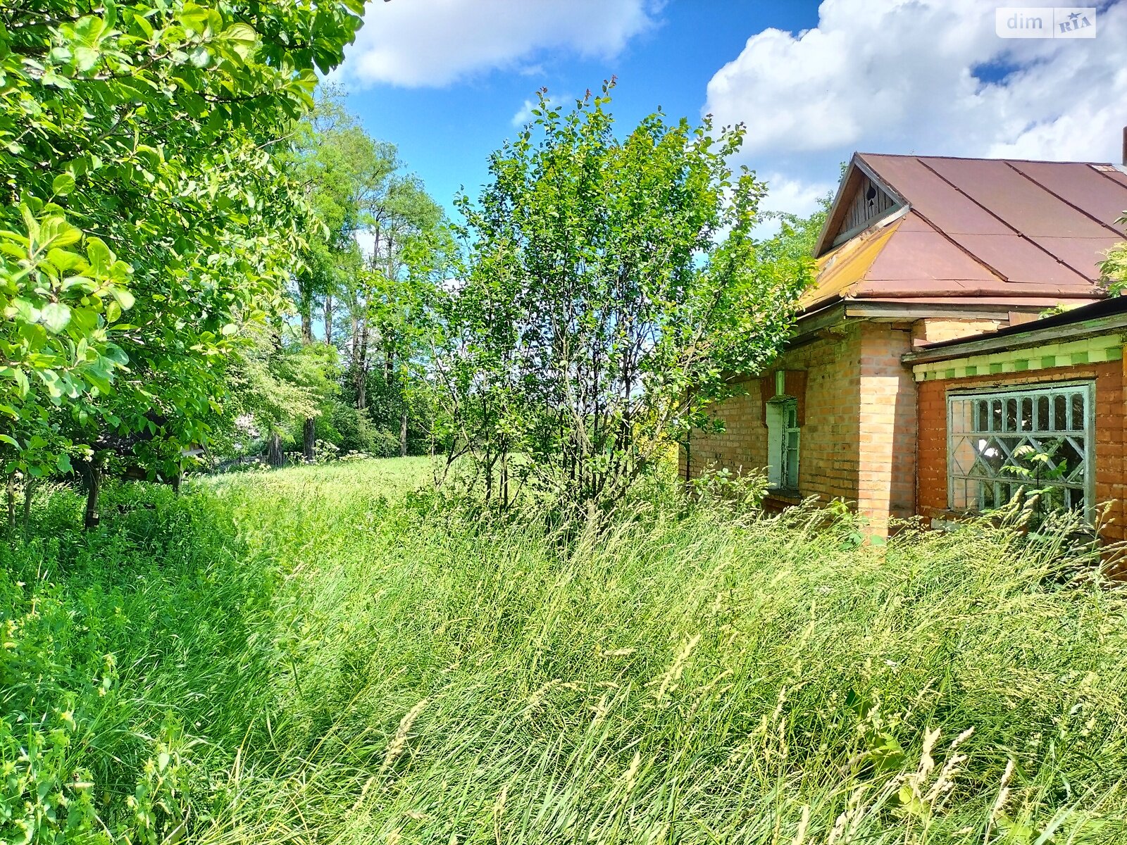 Земельна ділянка під житлову забудову в Гавришівці, площа 40 соток фото 1 Земельна ділянка під житлову забудову в Гавришівці, площа 40 соток фото 1