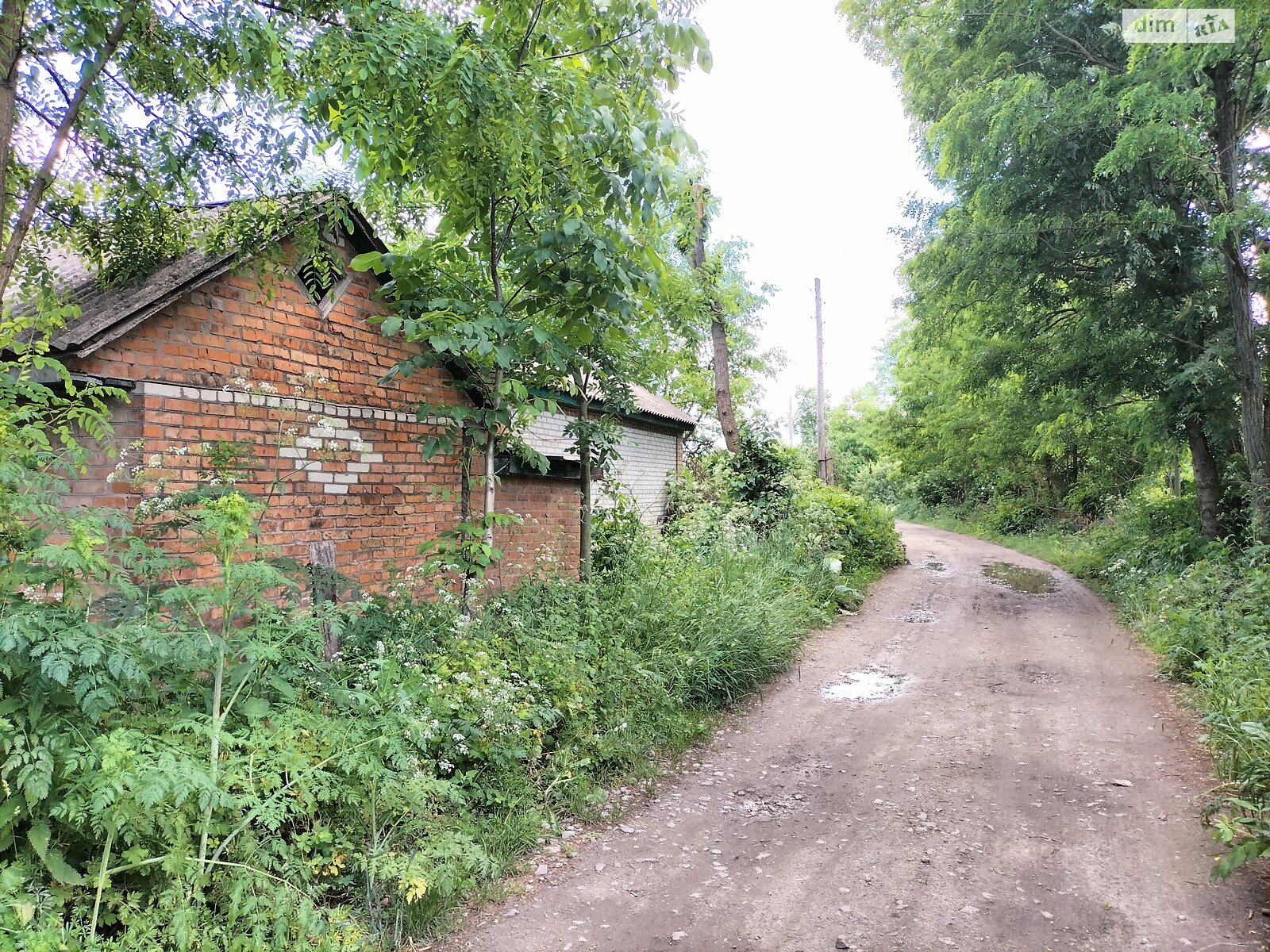 Земельна ділянка під житлову забудову в Гавришівці, площа 40 соток фото 1 Земельна ділянка під житлову забудову в Гавришівці, площа 40 соток фото 1