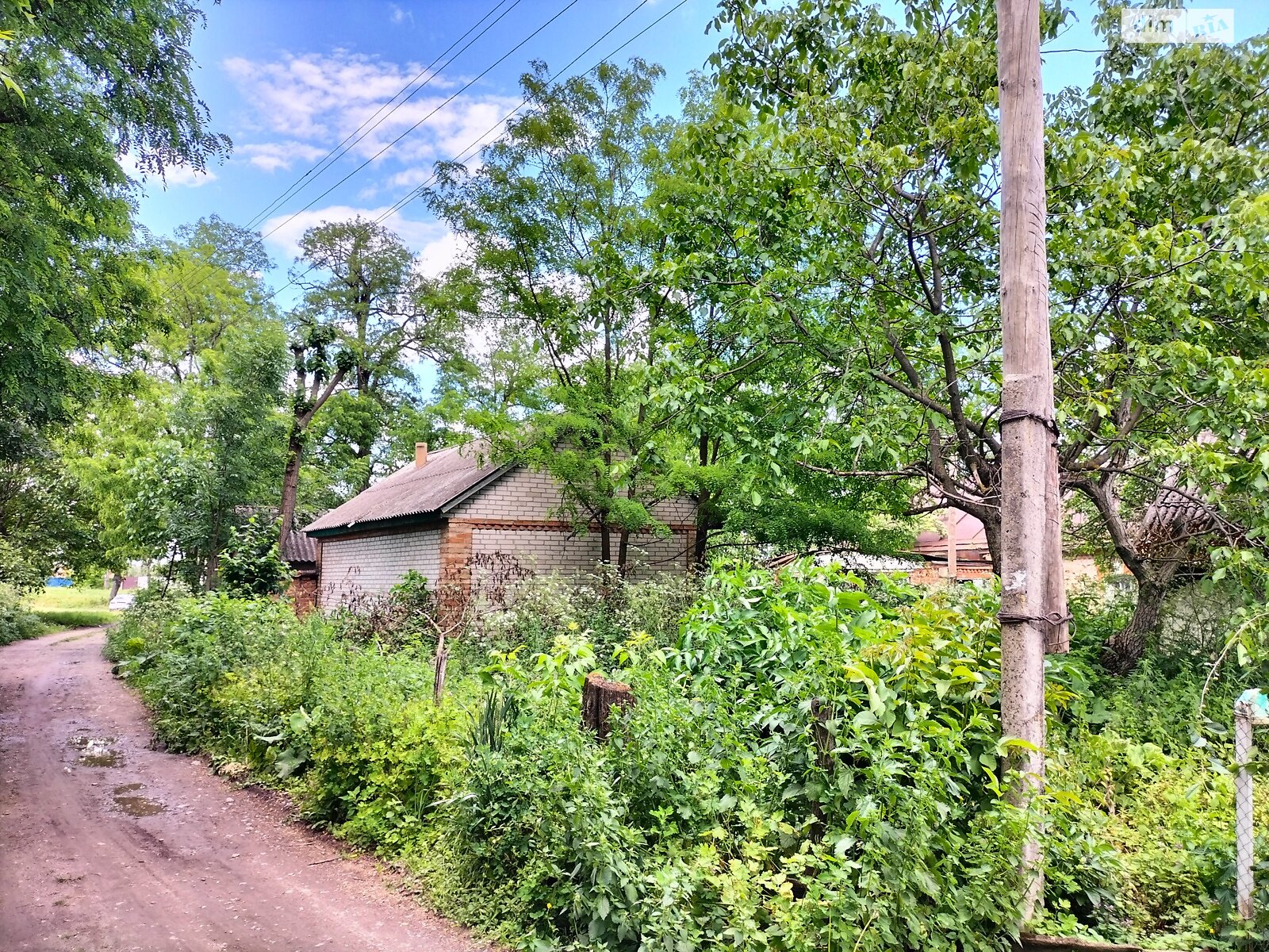 Земельна ділянка під житлову забудову в Гавришівці, площа 40 соток фото 1 Земельна ділянка під житлову забудову в Гавришівці, площа 40 соток фото 1