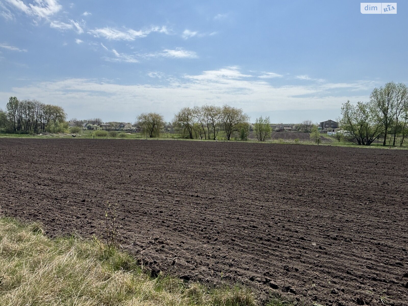 Земельна ділянка під житлову забудову в Гавришівці, площа 15 соток фото 1 Земельна ділянка під житлову забудову в Гавришівці, площа 15 соток фото 1