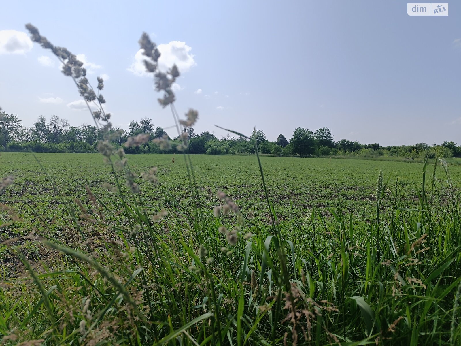 Земельный участок под жилую застройку в Гавришовке, площадь 20 соток фото 1 Земельный участок под жилую застройку в Гавришовке, площадь 20 соток фото 1