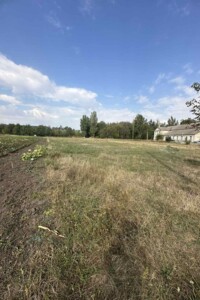 Земельный участок под жилую застройку в Гавришовке, площадь 20 соток фото 2