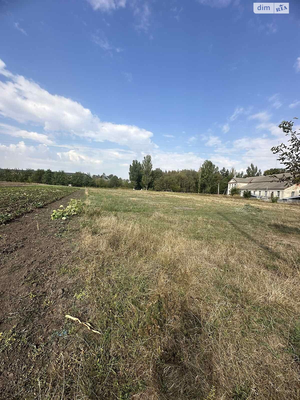 Земельна ділянка під житлову забудову в Гавришівці, площа 20 соток фото 1