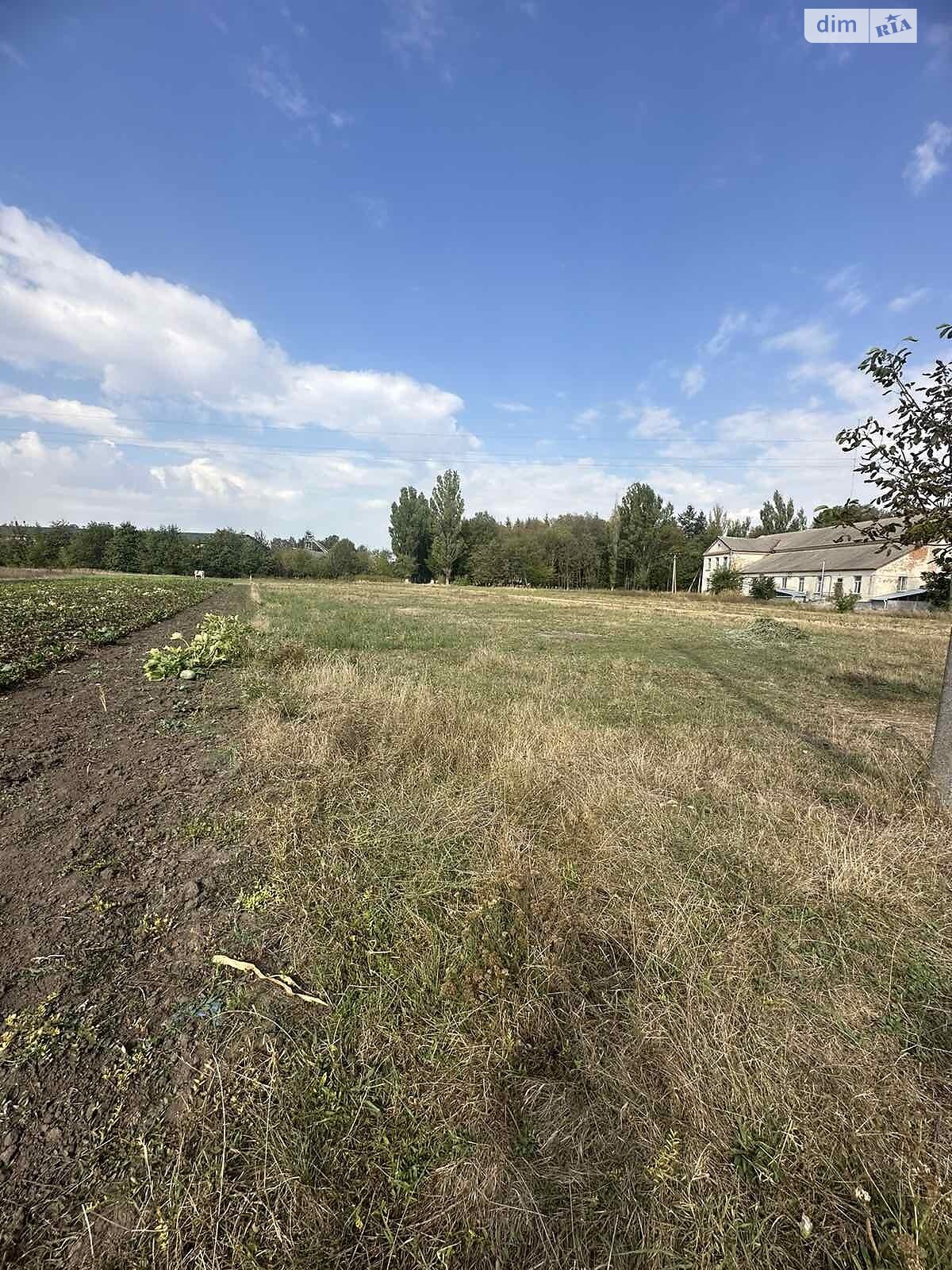 Земельна ділянка під житлову забудову в Гавришівці, площа 20 соток фото 1