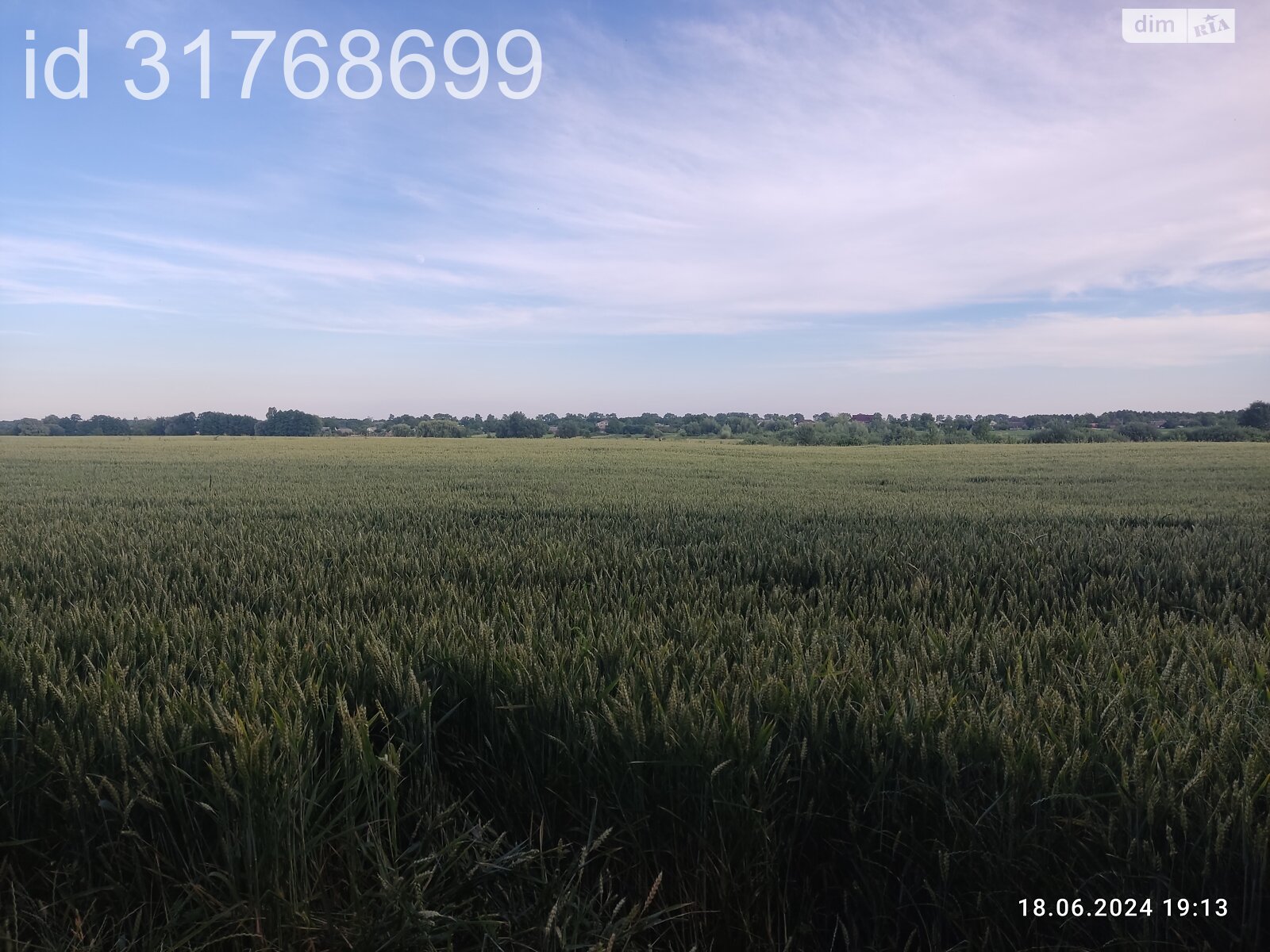 Земельна ділянка під житлову забудову в Гавришівці, площа 15 соток фото 1 Земельна ділянка під житлову забудову в Гавришівці, площа 15 соток фото 1